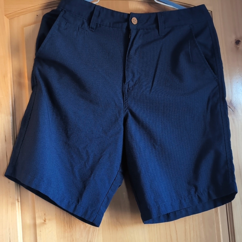 Men's Picture Shorts, Size 32, Blue